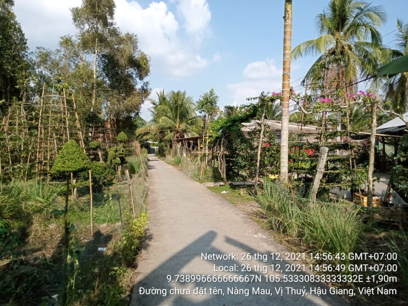 VTY95 Đường ấp 5 - thị trấn Nàng Mau, Thị trấn Nàng Mau, từ Nguyễn Tri Phương đến Ranh xã Vị Thắng