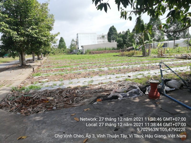 VTY53 Khu thương mại xã Vĩnh Thuận Tây Xã Vĩnh Thuận Tây Các lô (nền) tái định cư