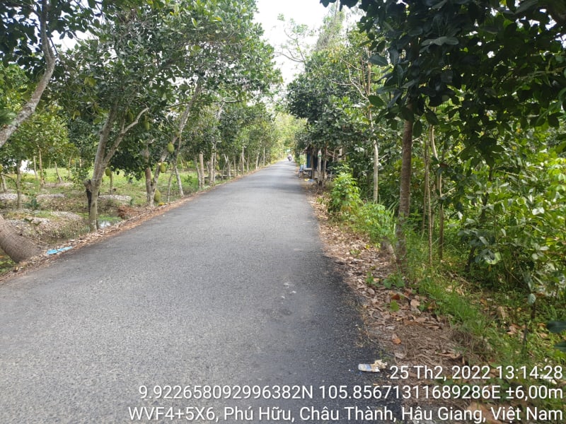 CT62, xã Phú Tân, suốt tuyến