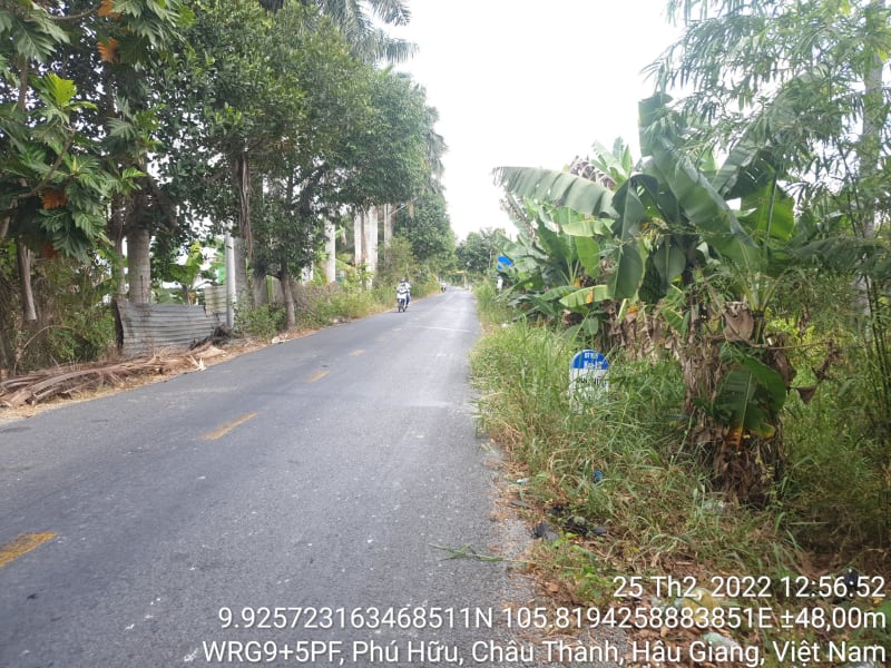 CT59, xã Phú Hữu, suốt tuyến