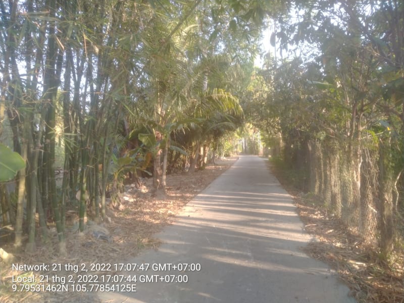PH50(2) lộ nông thôn xã Phụng Hiệp xã Phương Bình cũ