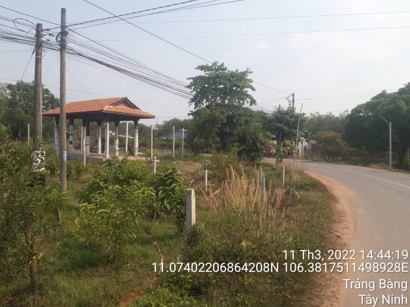 TRB176- Đường Lộc Vĩnh - Lộc Chánh