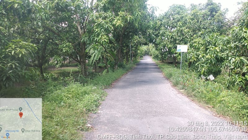 CLH144 - Đường nhựa cầu Long Hồi - cầu Nhạc Thìn