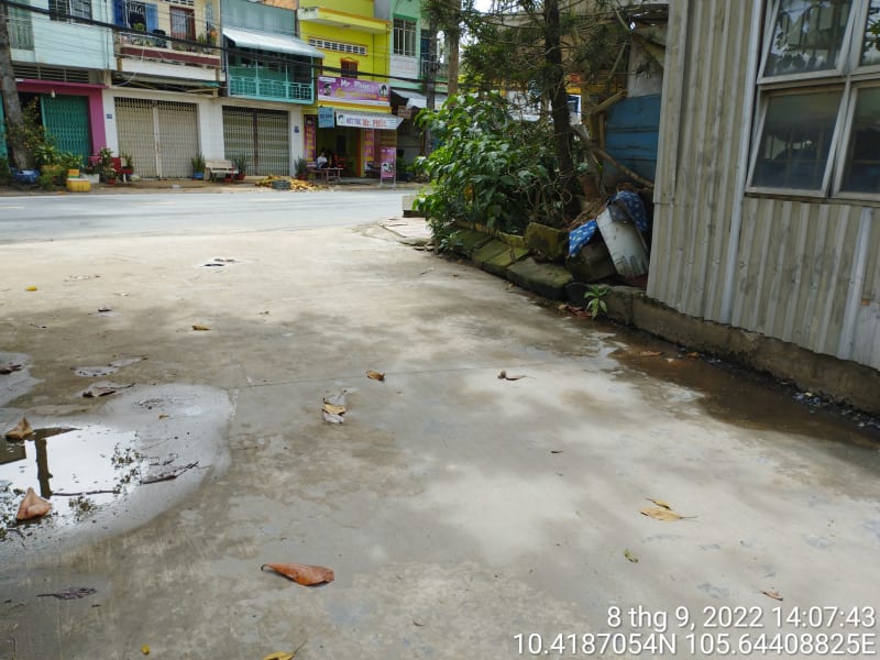 CLH333_Các đường đan Phường 6