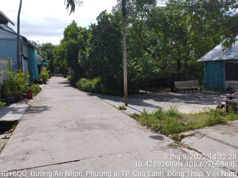 CLH324_Đường đan tổ 37, 38