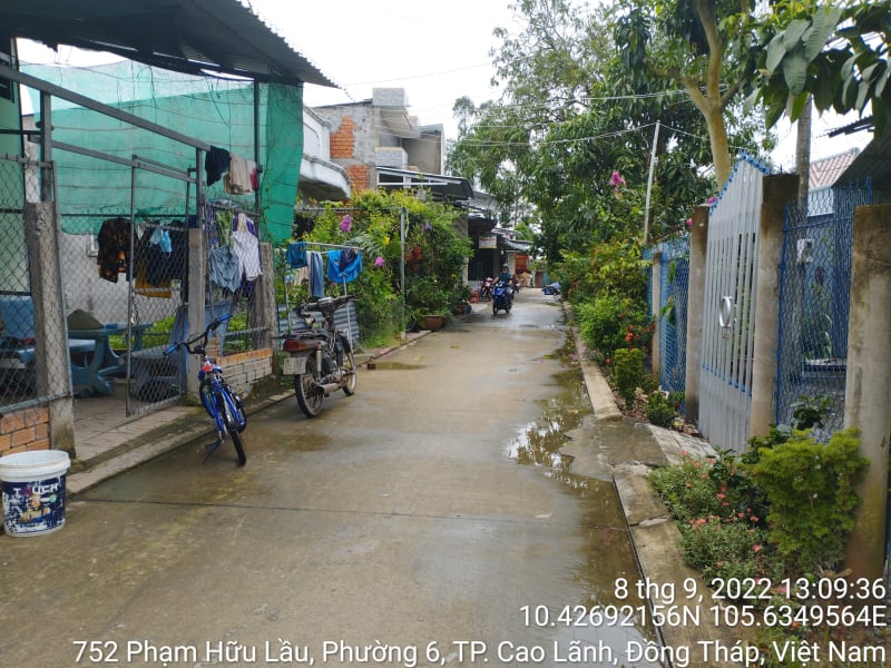 CLH349_Đường đan Tổ 48
