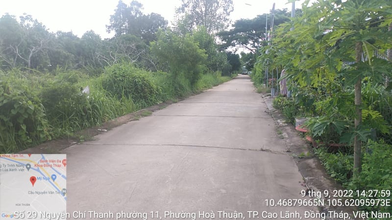 CLH435 Đường đan Hàn Me ( khu chuồng bò)