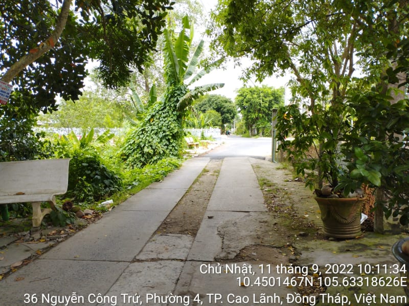 CLH320_Đường tổ 18 khóm 3