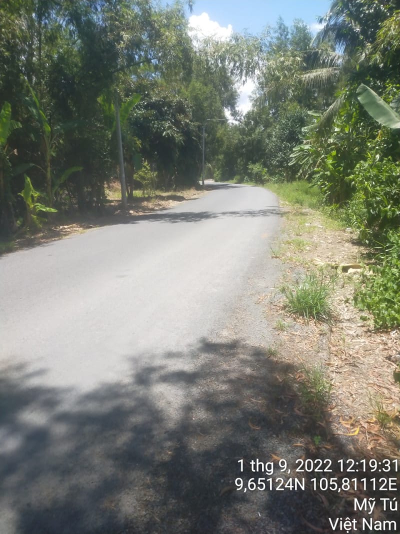 MT31 - Đường Quang Trung (đường Tỉnh 940)