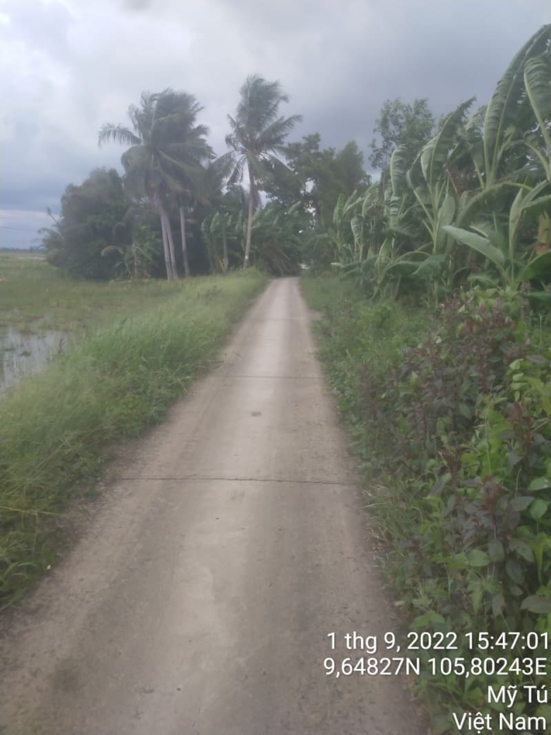 MT49 -  Đường Kênh 1/5