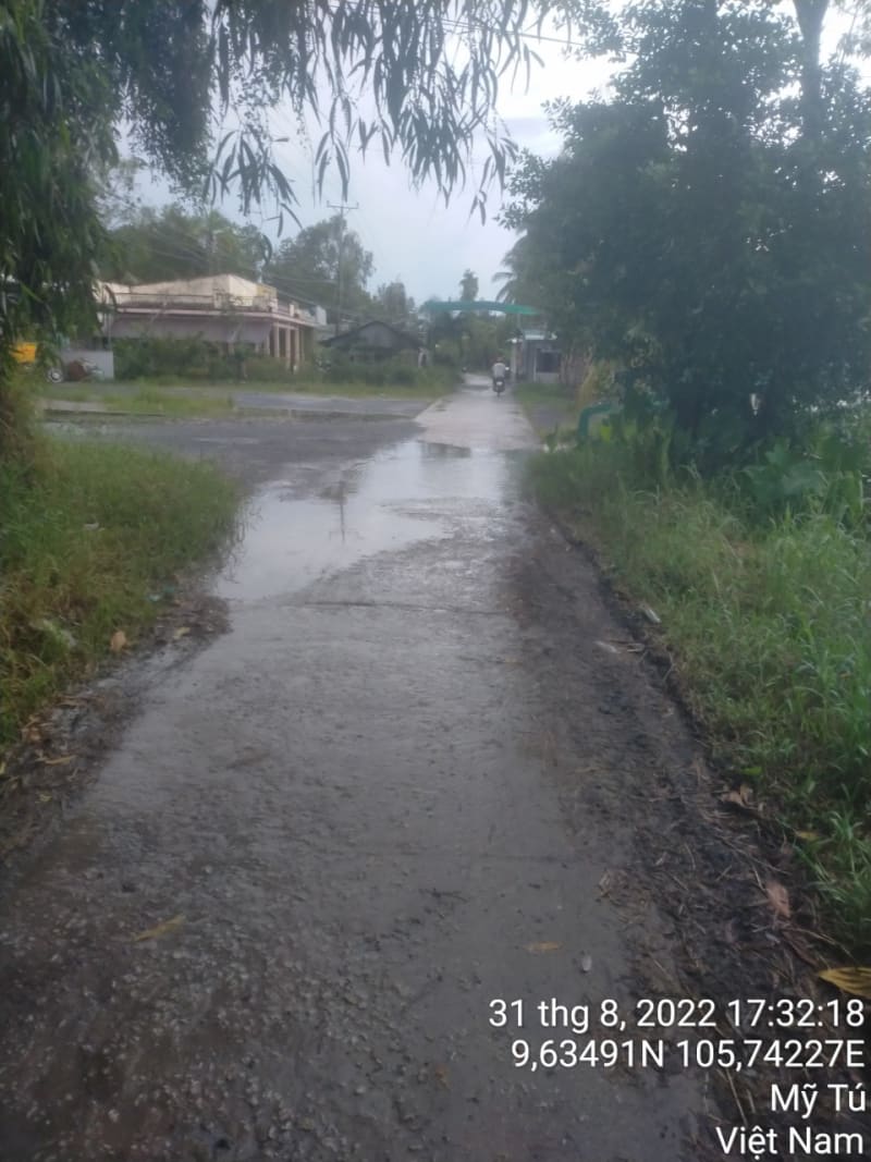 MT79 - Đường Huyện 84