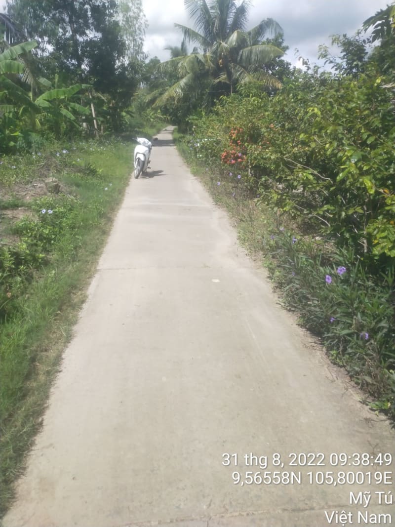 MT111	- Lộ Sơn Pich