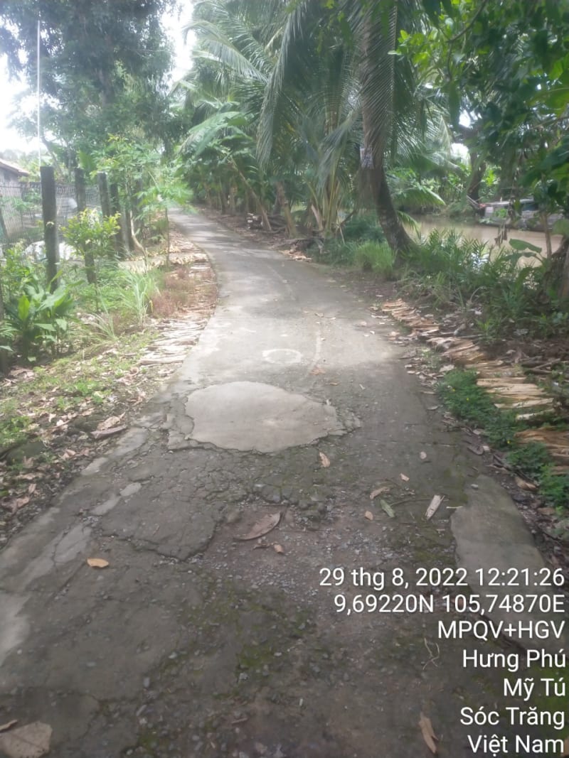 MT170	- Đường đal