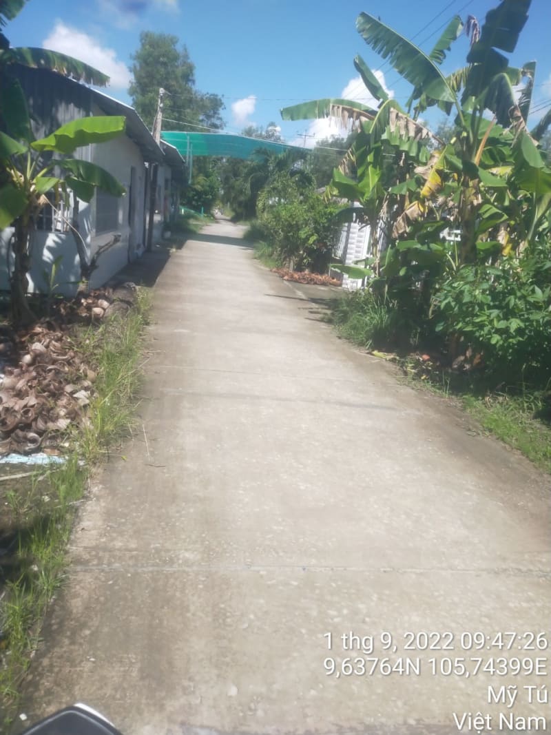 MT171-	Đường Huyện 84