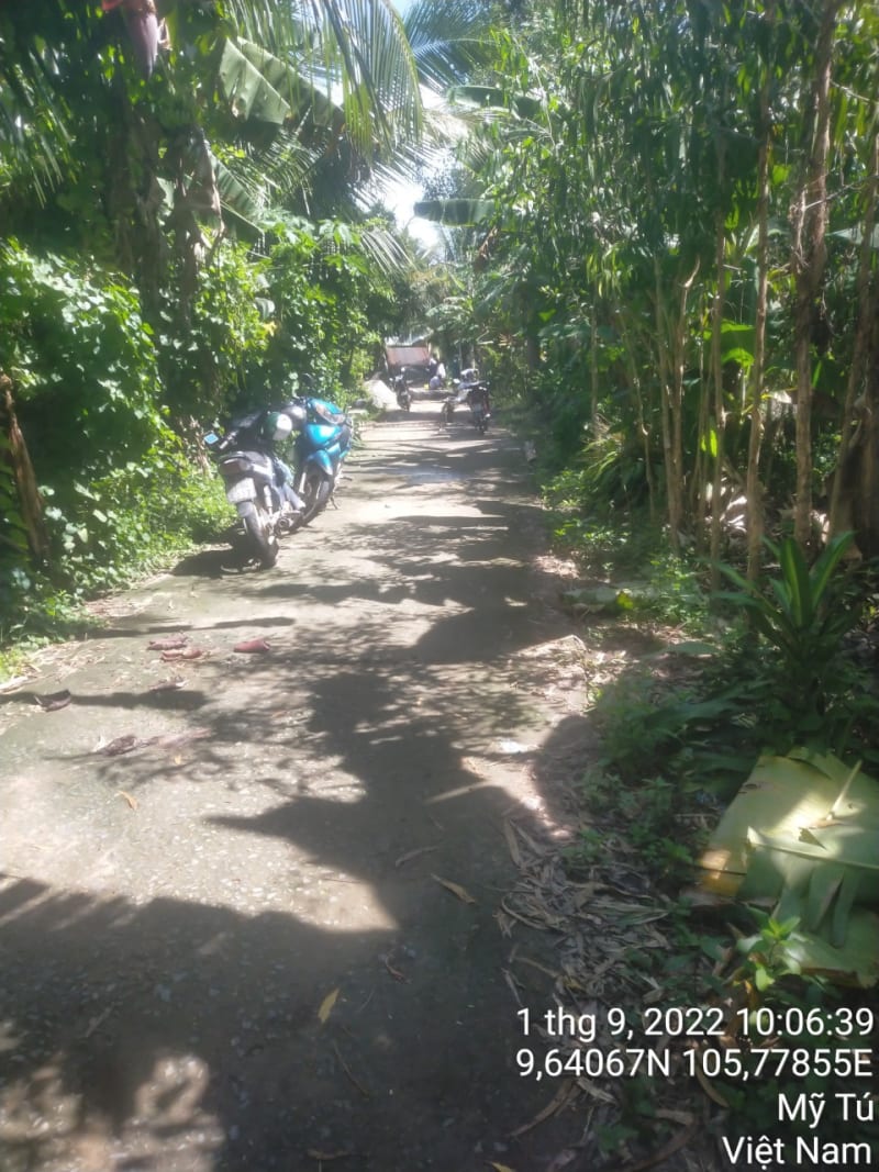 MT172 - Đường Huyện 86