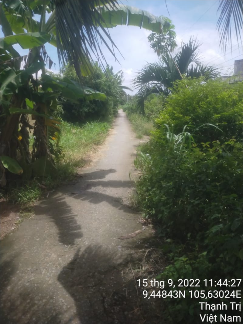 TT177 - Lộ đal Ấp 15