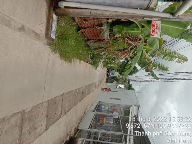 ST136	Hẻm 308 (P10)