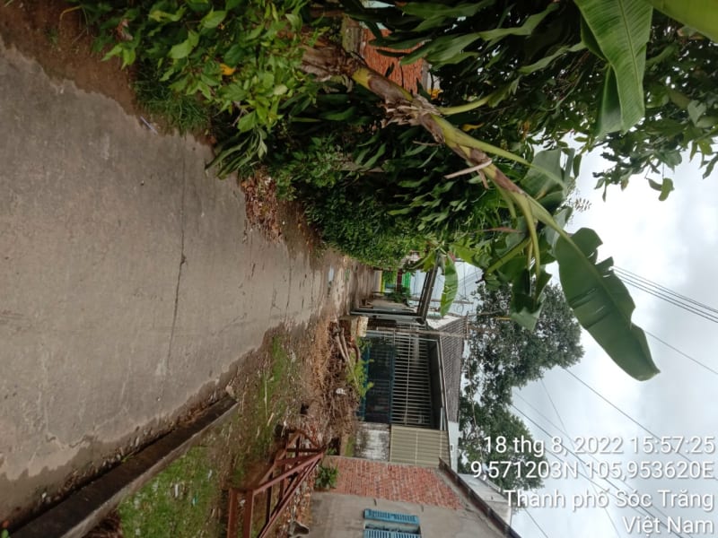 ST137	Hẻm 344 (P10)