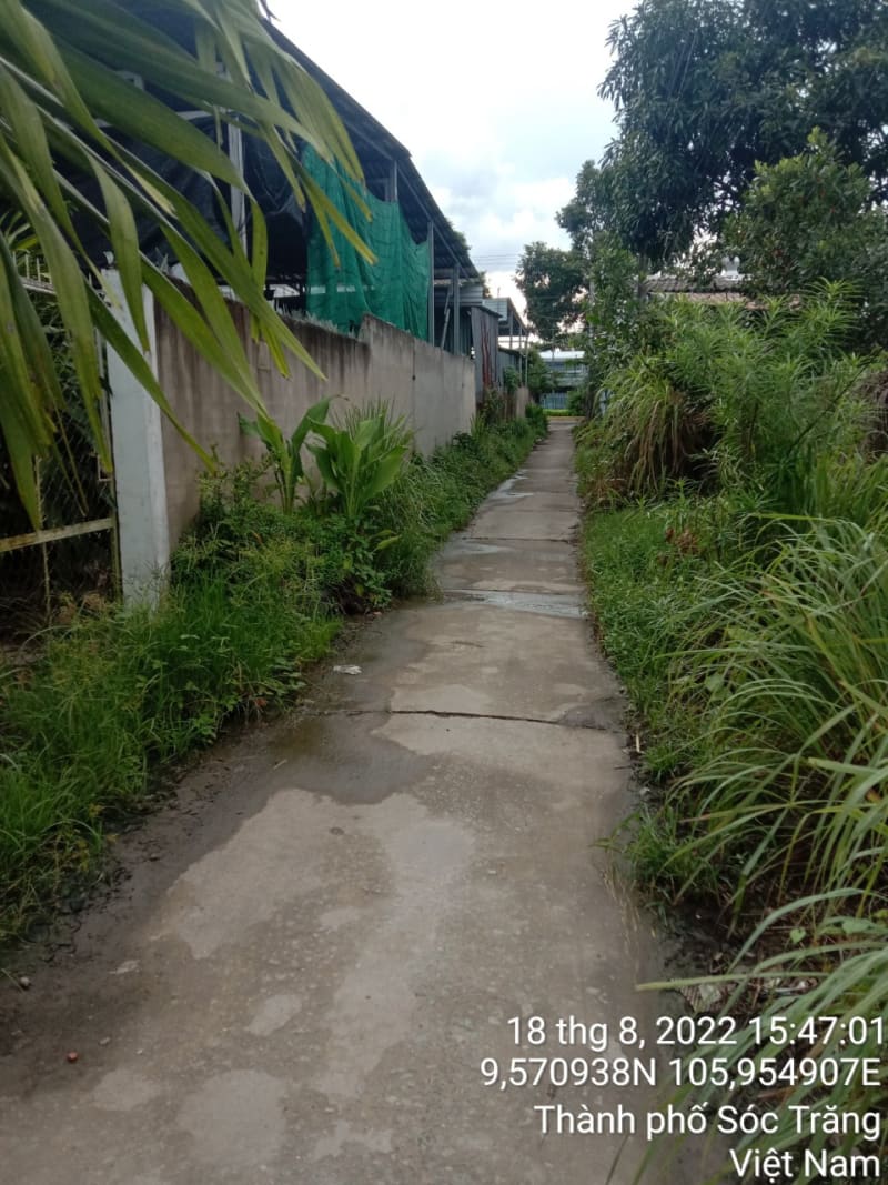 ST145	Hẻm 1017 (P10)