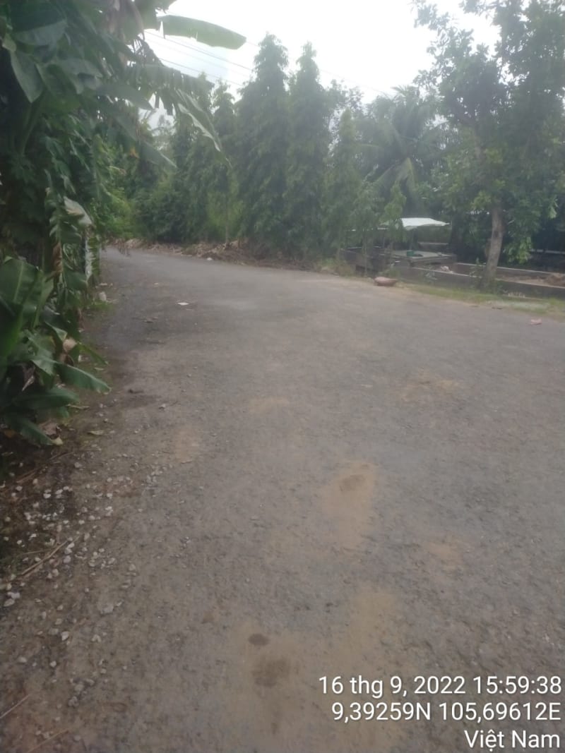 TT117-Lộ Bào Cát - Quang Vinh