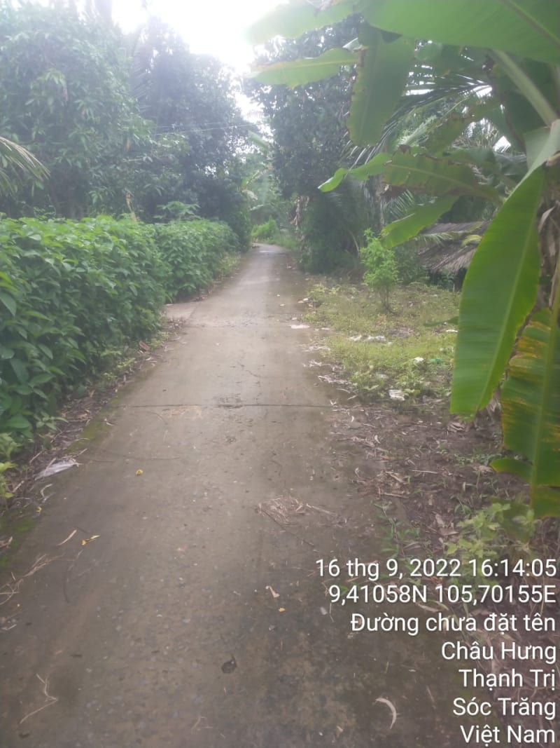 TT119-Lộ Bào Cát