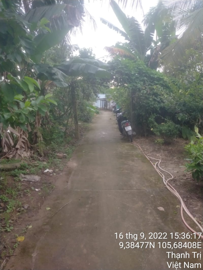 TT254-Lộ đal ấp Quang Vinh