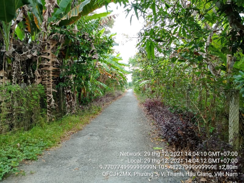 VT74 Đường Vị Bình B, Phường 3, từ Kênh Vị Bình đến Kênh ranh huyện Vị Thuỷ