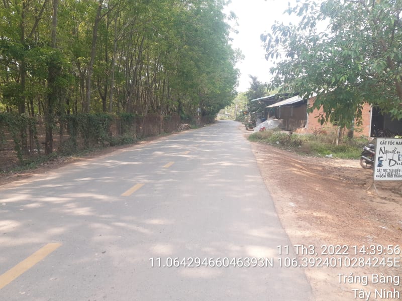 TRB175 - Đường Cầu Chùa từ đường Hương Lộ 2 (nhà ông 4 Thanh) đến đường Cầu Chùa nhà ông Út Huỳnh Gươm)