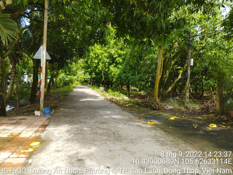 CLH323_Đường đan tổ 34, 35, 36