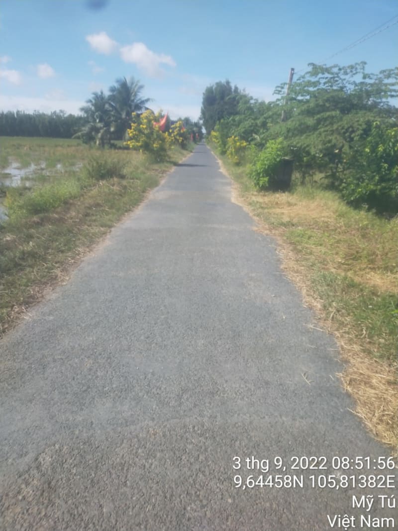 MT40 - Đường trung tâm xã Long Hưng (Đường C2)
