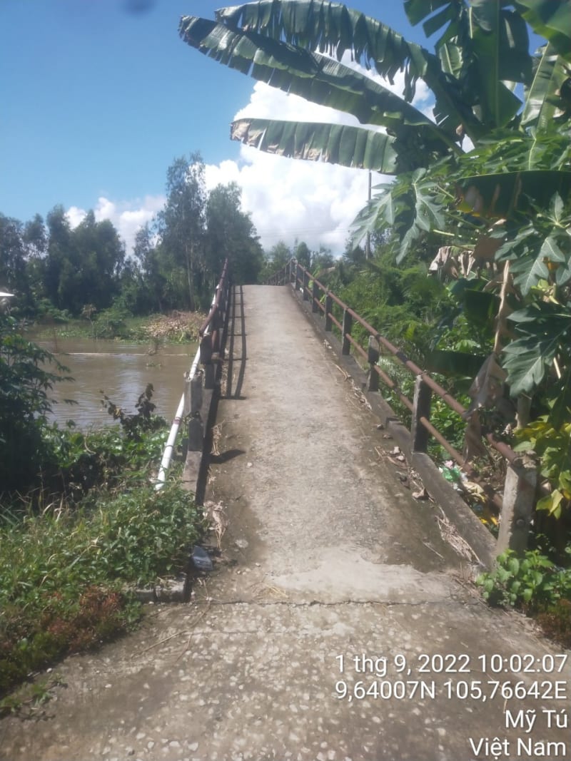 MT180 - Đường đal