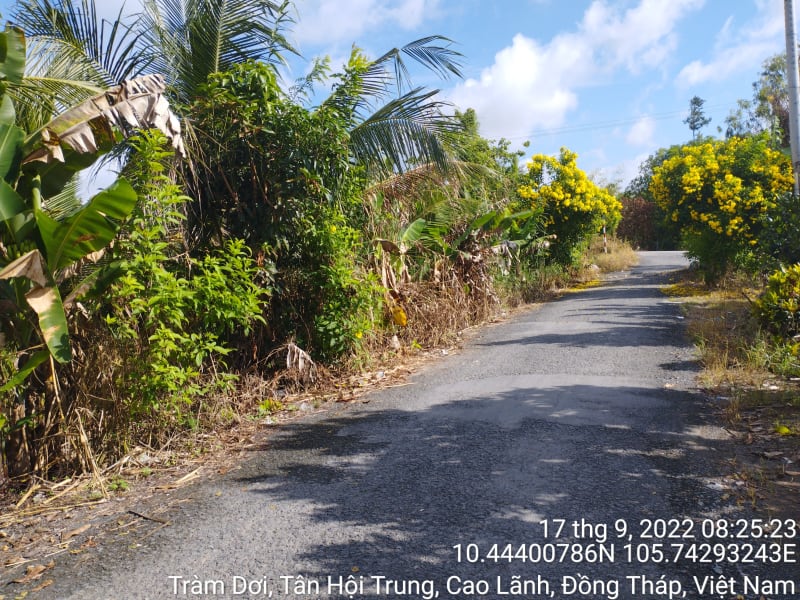 HCL84_Lộ Mương Khai_ cầu Ngã Bát