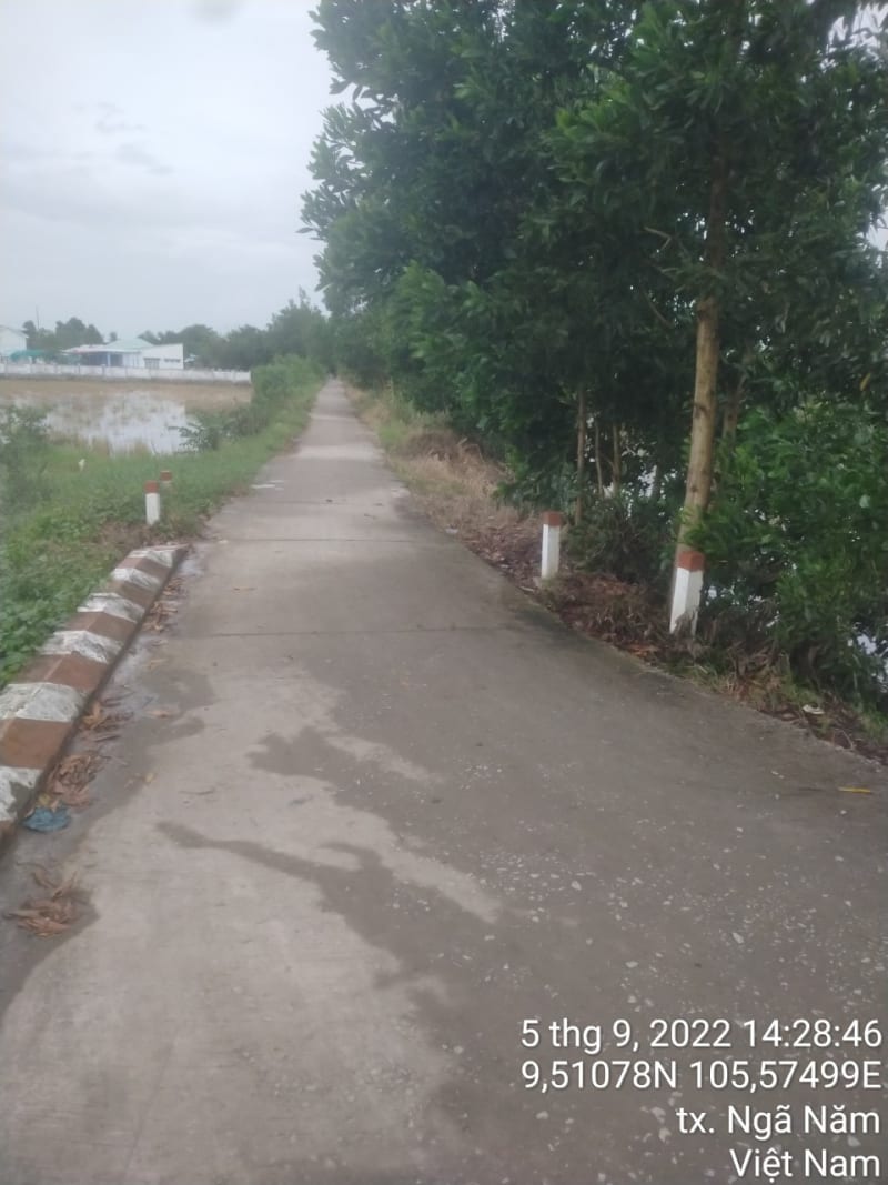 NN97 - Kênh Tuấn Hớn