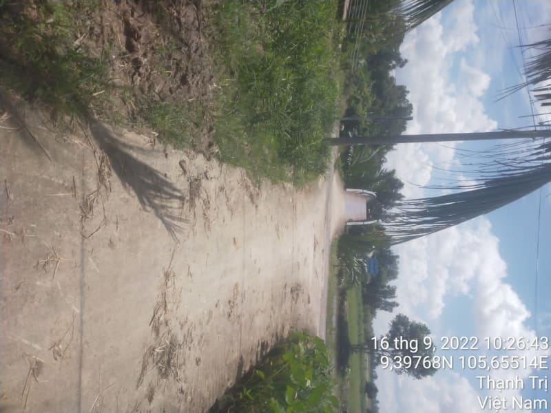 TT232-Lộ đal ấp Tàn Dù (2 Si)