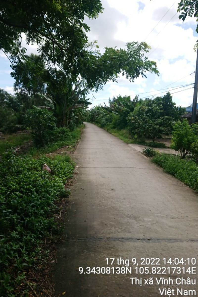 VC269 Lộ Năm căn từ Quốc lộ Nam Sông Hậu đến Đê sông Mỹ Thanh